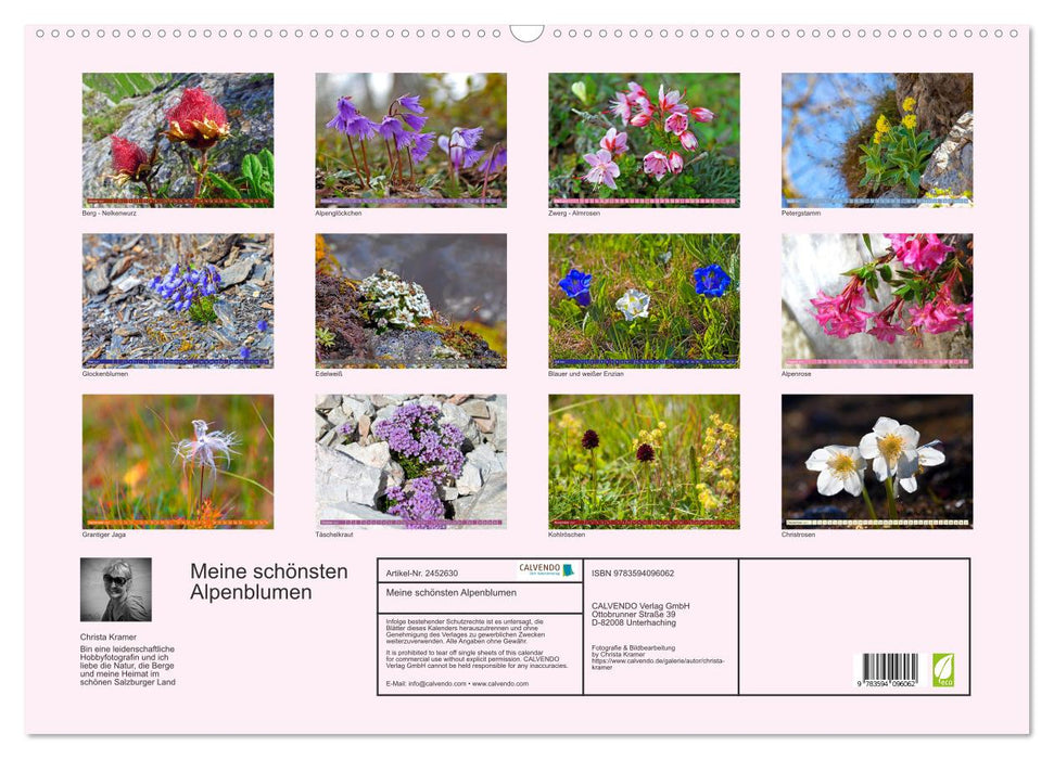 Meine schönsten Alpenblumen (CALVENDO Wandkalender 2027)