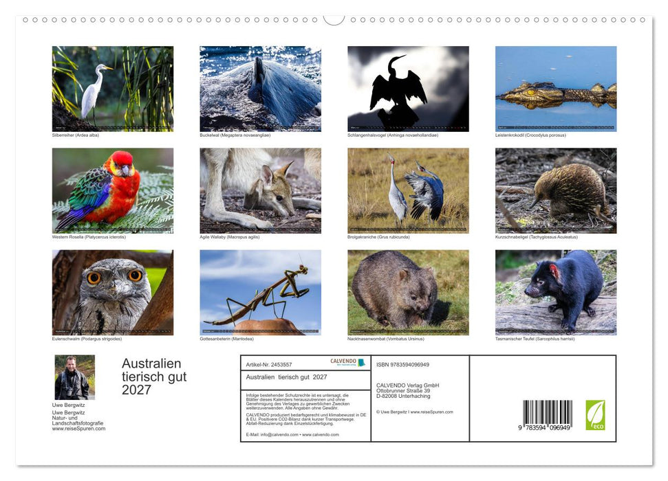 Australien tierisch gut 2027 (CALVENDO Premium Wandkalender 2027)