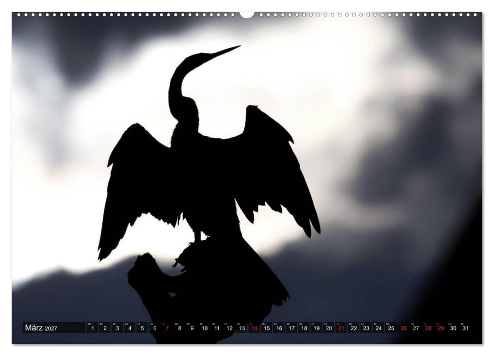 Australien tierisch gut 2027 (CALVENDO Premium Wandkalender 2027)