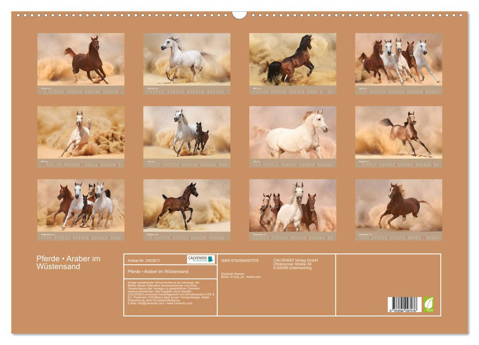 Pferde • Araber im Wüstensand (CALVENDO Wandkalender 2027)