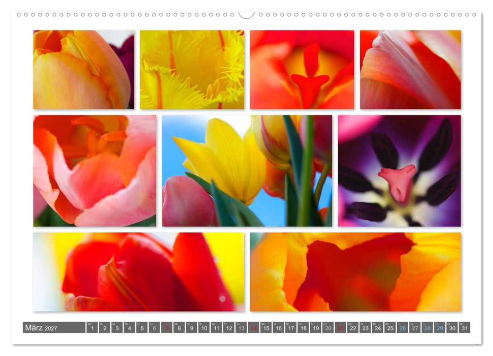 Naturcollagen 2027 (CALVENDO Wandkalender 2027)