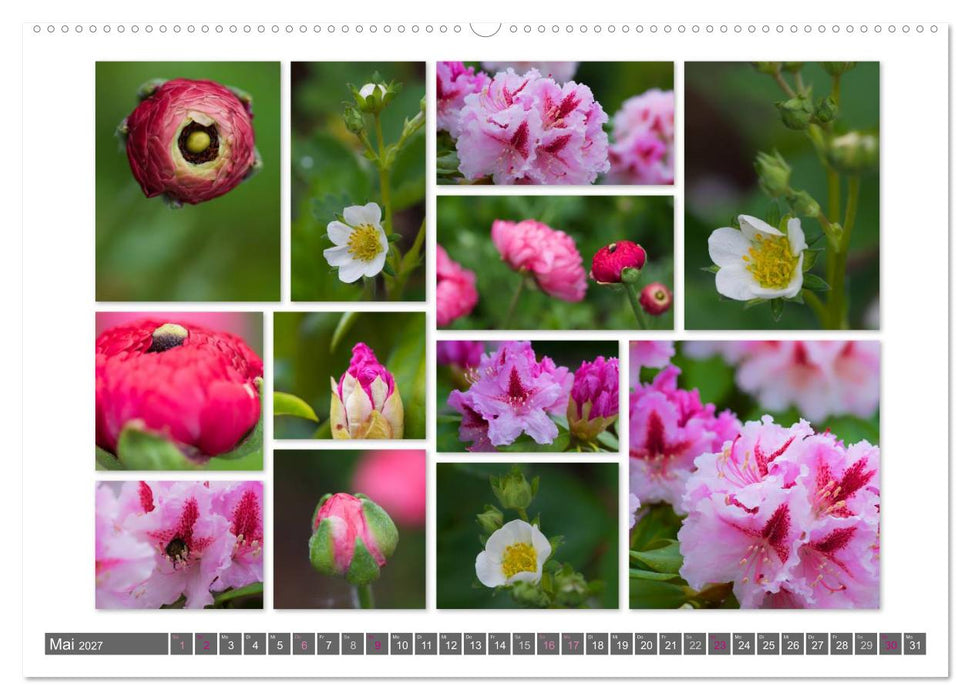 Naturcollagen 2027 (CALVENDO Wandkalender 2027)