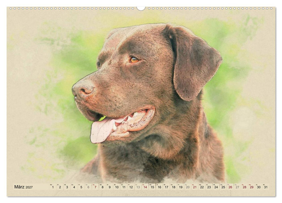 Labrador Retriever 2027 (CALVENDO Premium Wandkalender 2027)