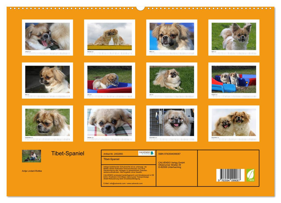 Tibet-Spaniel (CALVENDO Premium Wandkalender 2027)