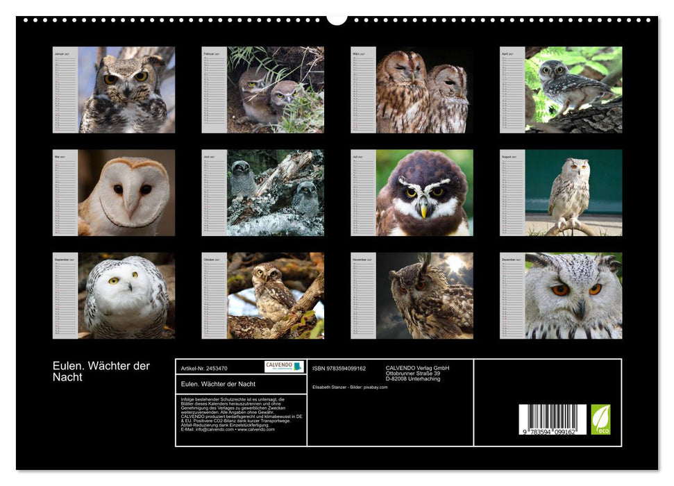 Eulen. Wächter der Nacht (CALVENDO Premium Wandkalender 2027)