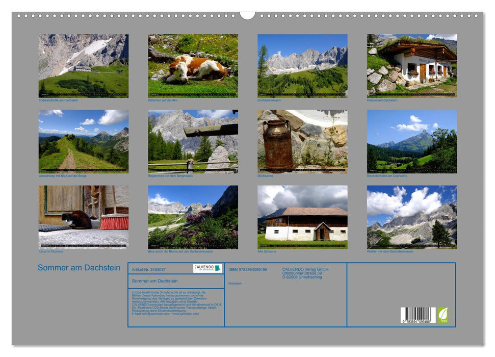 Sommer am Dachstein (CALVENDO Wandkalender 2027)