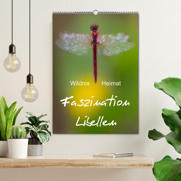Faszination Libellen - Wildnis Heimat (CALVENDO Wandkalender 2027)