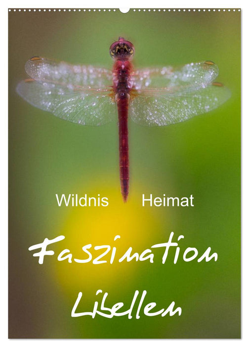 Faszination Libellen - Wildnis Heimat (CALVENDO Wandkalender 2027)