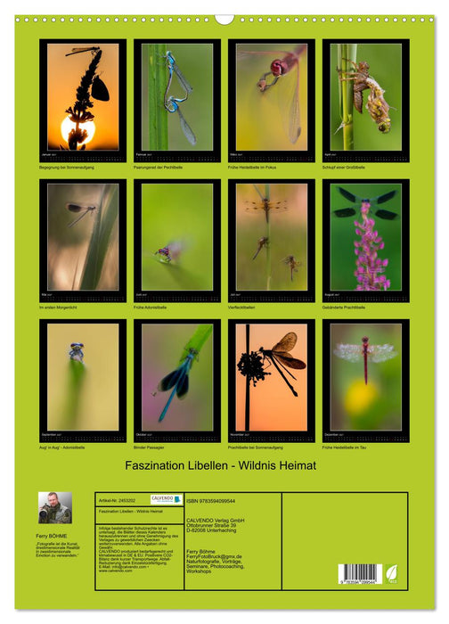 Faszination Libellen - Wildnis Heimat (CALVENDO Wandkalender 2027)