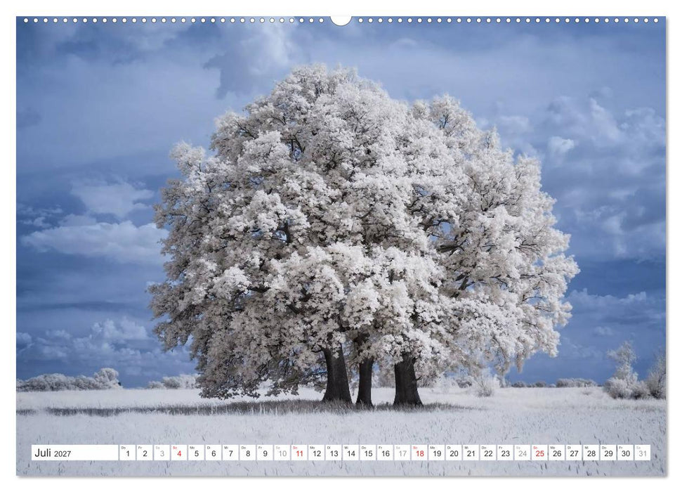 Zauberhafte Infrarot-Fotografie (CALVENDO Premium Wandkalender 2027)