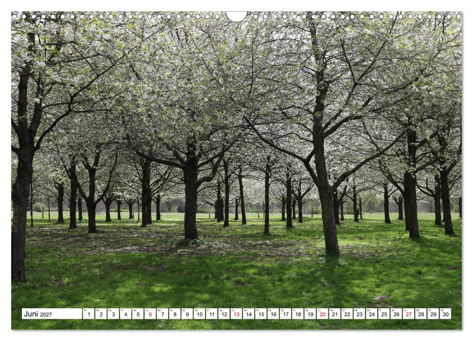 HANNOVER entdecken (CALVENDO Wandkalender 2027)