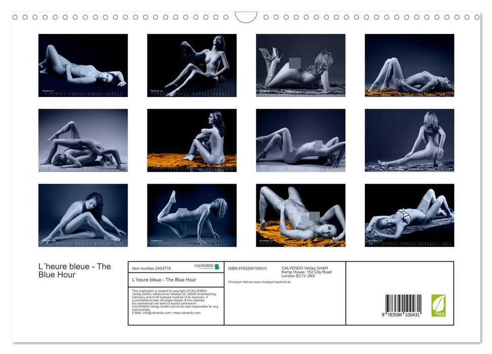 L´heure bleue - The Blue Hour (CALVENDO Monthly Calendar 2027)