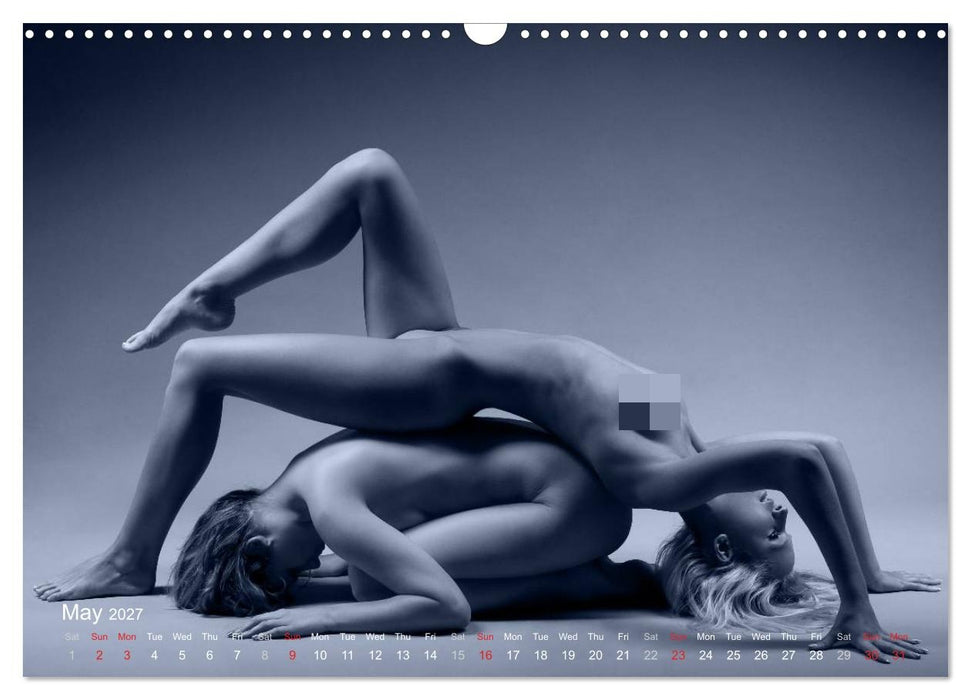L´heure bleue - The Blue Hour (CALVENDO Monthly Calendar 2027)