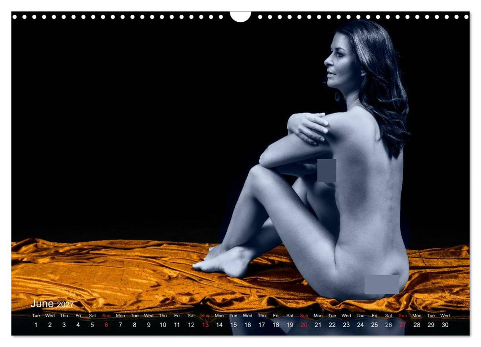 L´heure bleue - The Blue Hour (CALVENDO Monthly Calendar 2027)