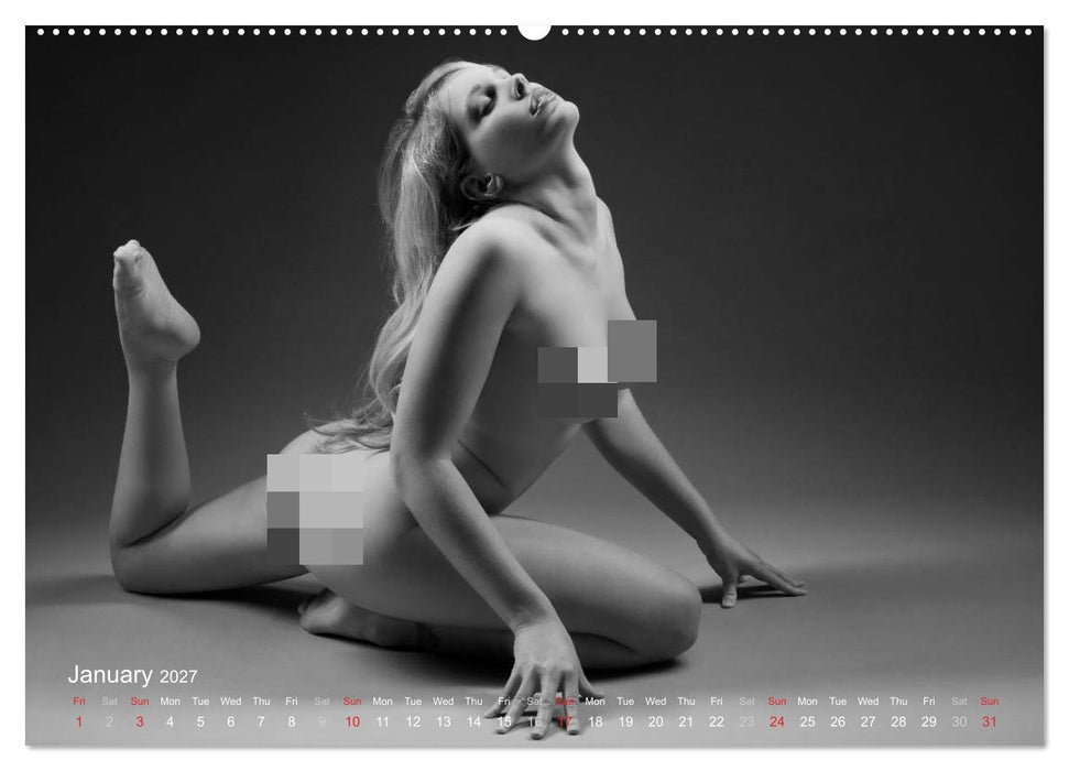 Erotic Fingerprints – Remarkable Skin Impressions (CALVENDO Premium-Calendar 2027)