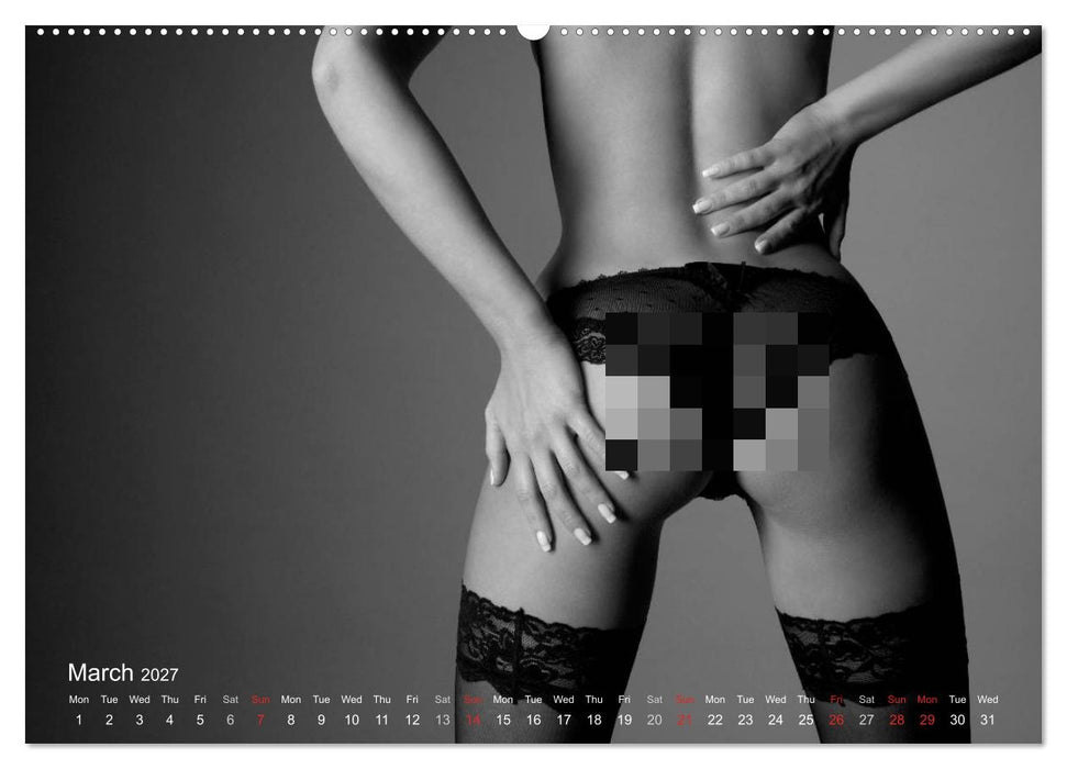 Erotic Fingerprints – Remarkable Skin Impressions (CALVENDO Premium-Calendar 2027)