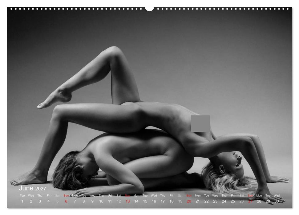 Erotic Fingerprints – Remarkable Skin Impressions (CALVENDO Premium-Calendar 2027)