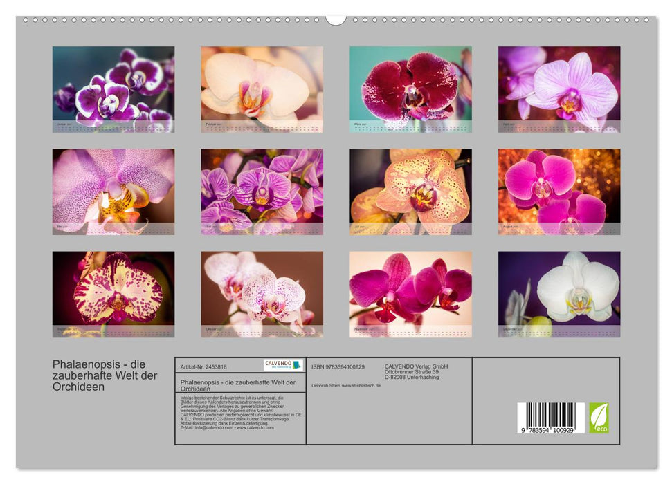 Phalaenopsis - die zauberhafte Welt der Orchideen (CALVENDO Premium Wandkalender 2027)
