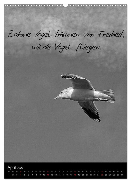 Kluge Sprüche in Schwarz-Weiß (CALVENDO Wandkalender 2027)