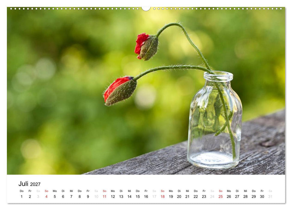 Mein Jahr im Landhausgarten (CALVENDO Premium Wandkalender 2027)