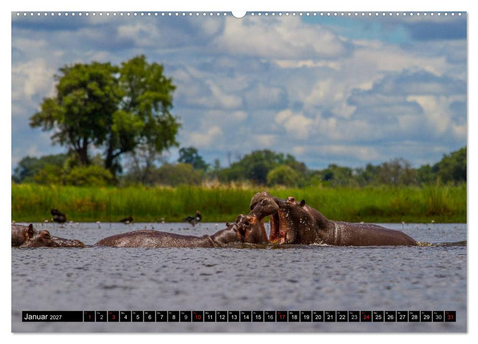 Afrikas wilde Tiere (CALVENDO Wandkalender 2027)