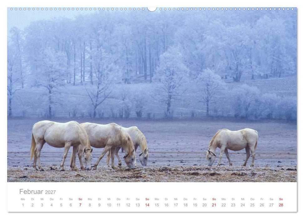 SCHWÄBISCHE ALB W.Dieterich (CALVENDO Wandkalender 2027)