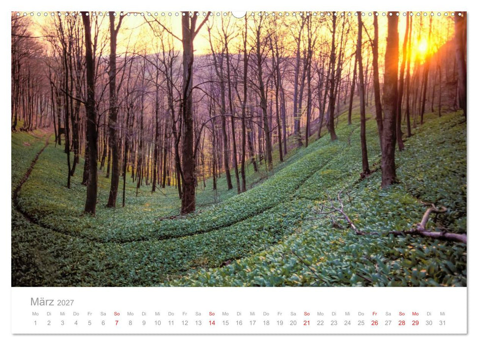 SCHWÄBISCHE ALB W.Dieterich (CALVENDO Wandkalender 2027)