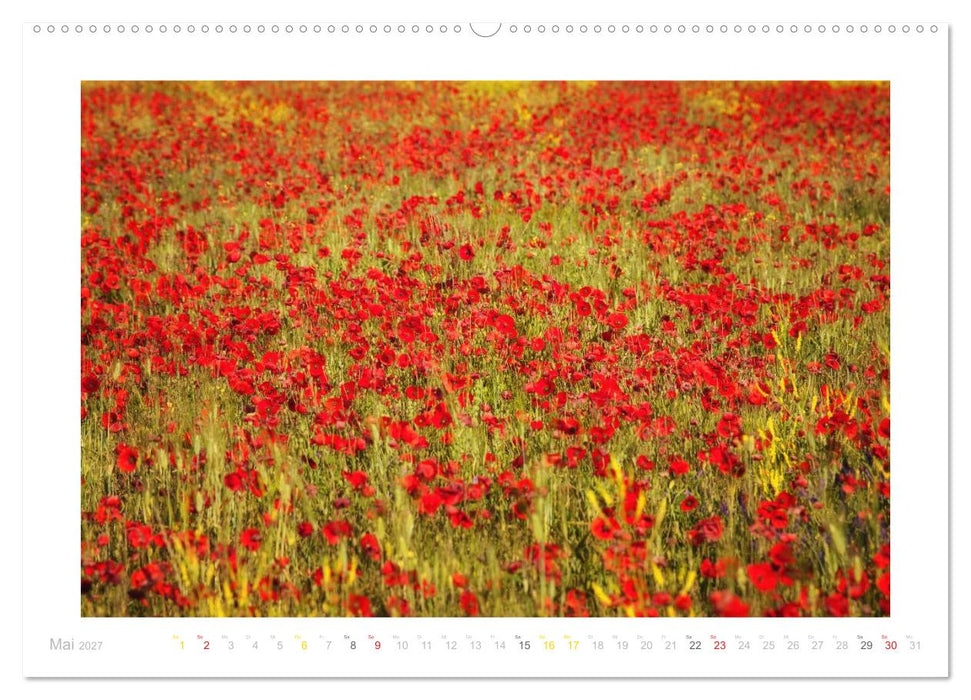 Streifzug durch die Provence (CALVENDO Premium Wandkalender 2027)