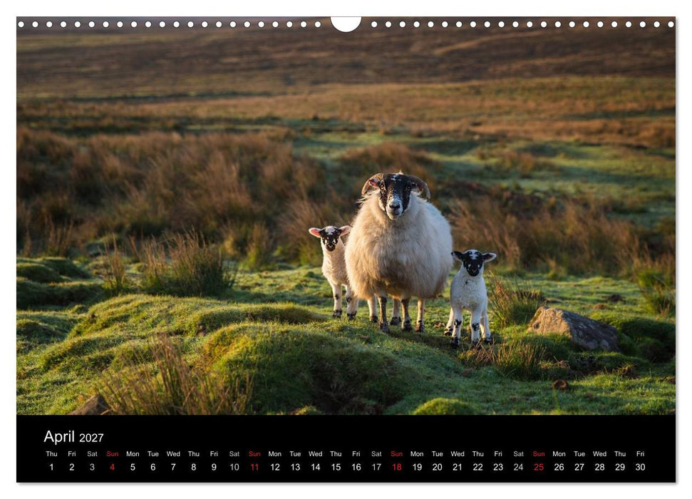 Scotland Alba (CALVENDO Monthly Calendar 2027)