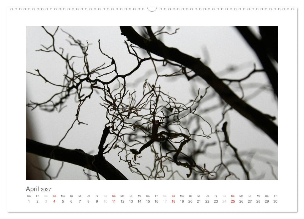 einfach schwarz-weiß (CALVENDO Wandkalender 2027)
