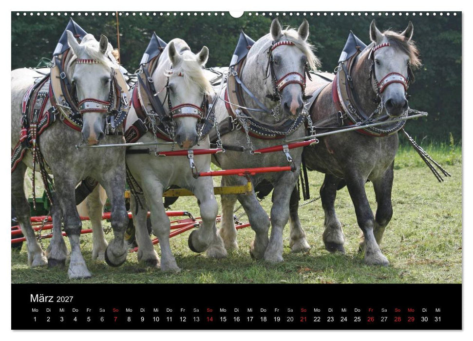 Starke Pferde bei der Arbeit (CALVENDO Premium Wandkalender 2027)