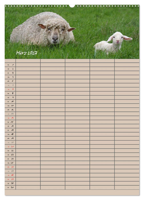 Der belämmerte Familienplaner (CALVENDO Wandkalender 2027)