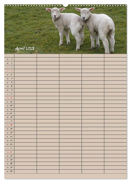 Der belämmerte Familienplaner (CALVENDO Wandkalender 2027)