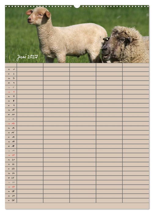 Der belämmerte Familienplaner (CALVENDO Wandkalender 2027)