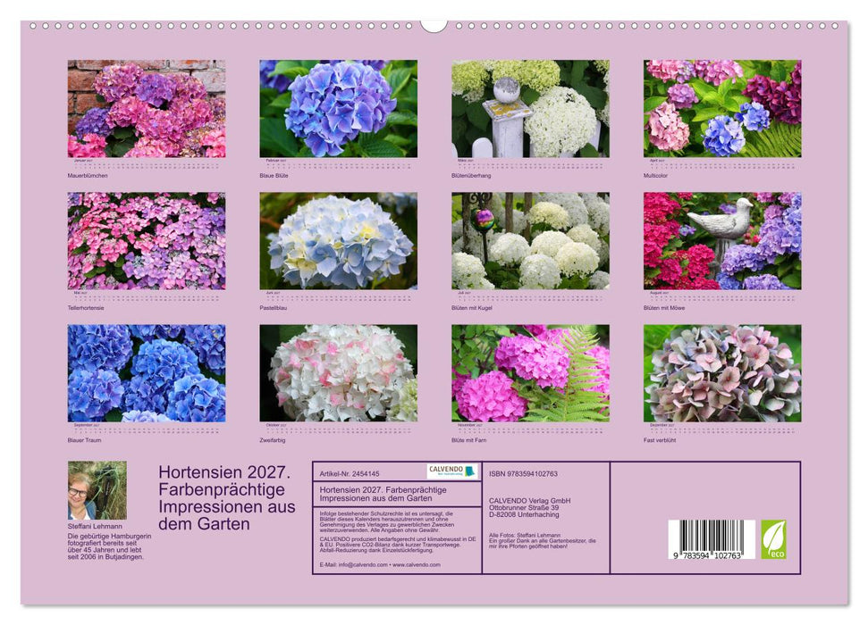 Hortensien 2027. Farbenprächtige Impressionen aus dem Garten (CALVENDO Premium Wandkalender 2027)