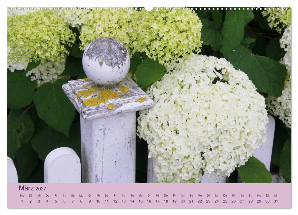 Hortensien 2027. Farbenprächtige Impressionen aus dem Garten (CALVENDO Premium Wandkalender 2027)