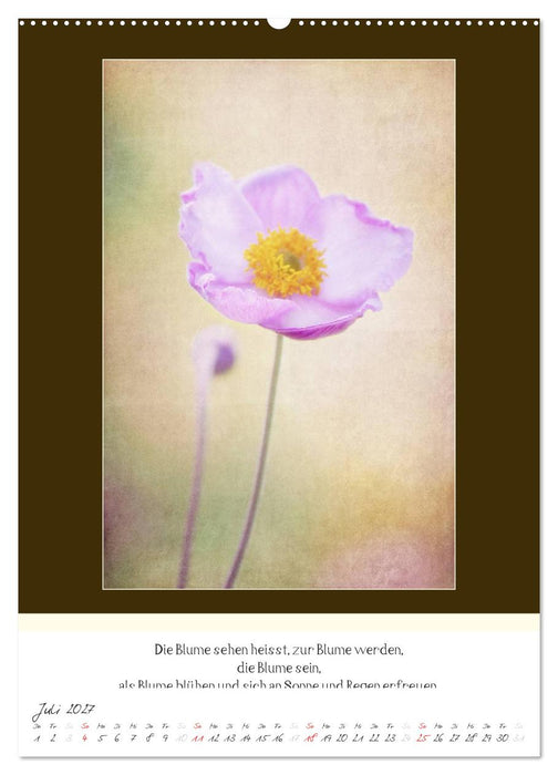 Der Buddhistische Weisheiten Kalender (CALVENDO Premium Wandkalender 2027)