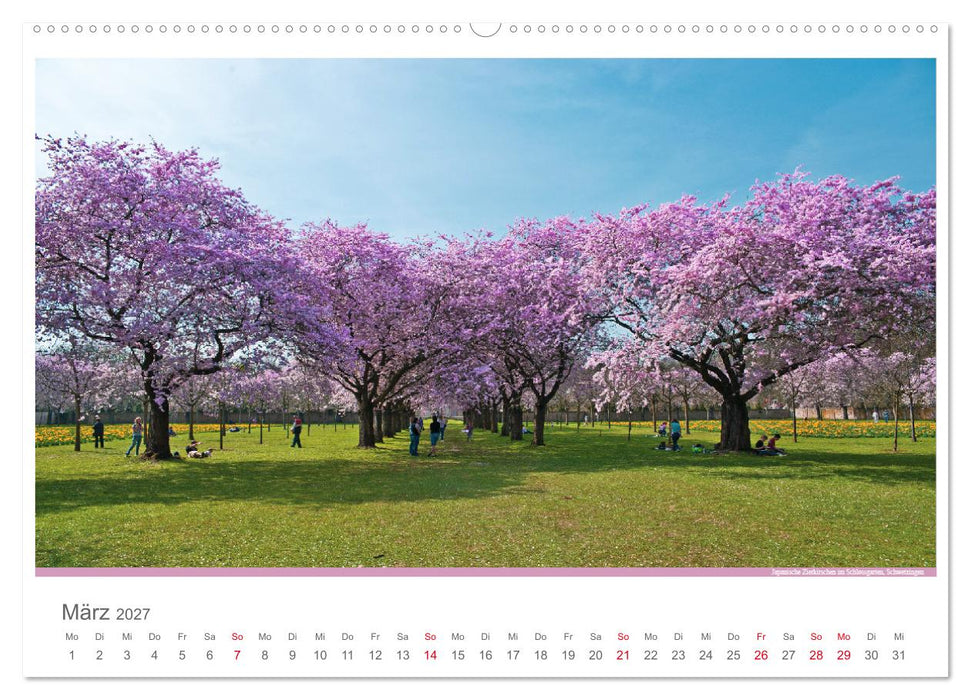Der Neckar - Unterwegs in Deutschland (CALVENDO Wandkalender 2027)