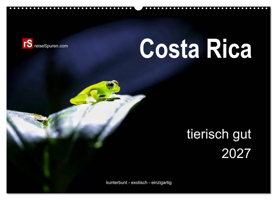 Costa Rica tierisch gut 2027 (CALVENDO Wandkalender 2027)