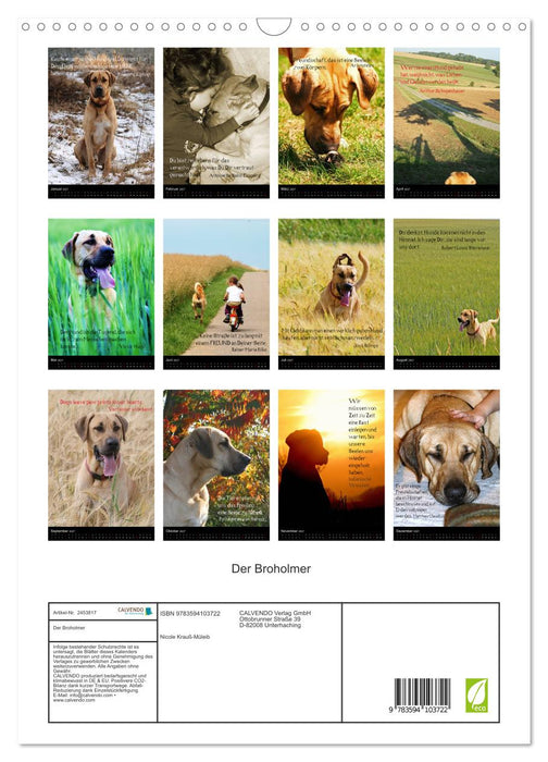 Der Broholmer (CALVENDO Wandkalender 2027)