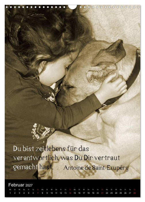 Der Broholmer (CALVENDO Wandkalender 2027)