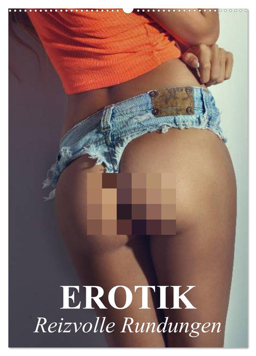 Erotik - Reizvolle Rundungen (CALVENDO Wandkalender 2027)