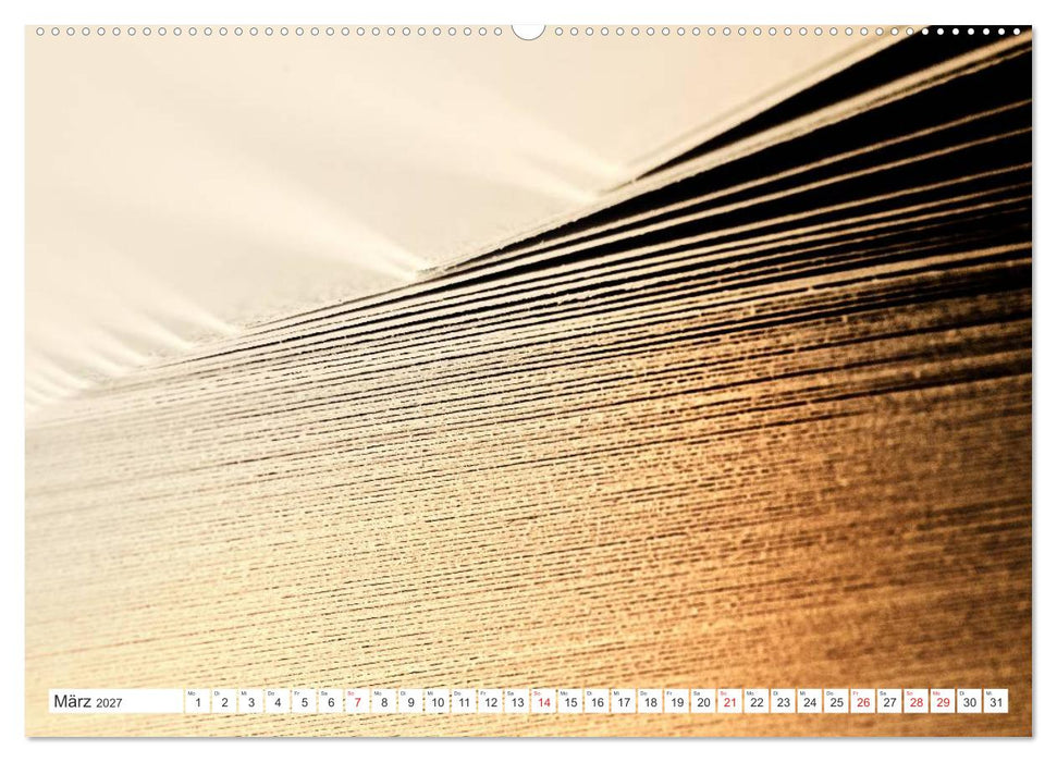 Ars Libri - Kunstwerk Buch (CALVENDO Premium Wandkalender 2027)