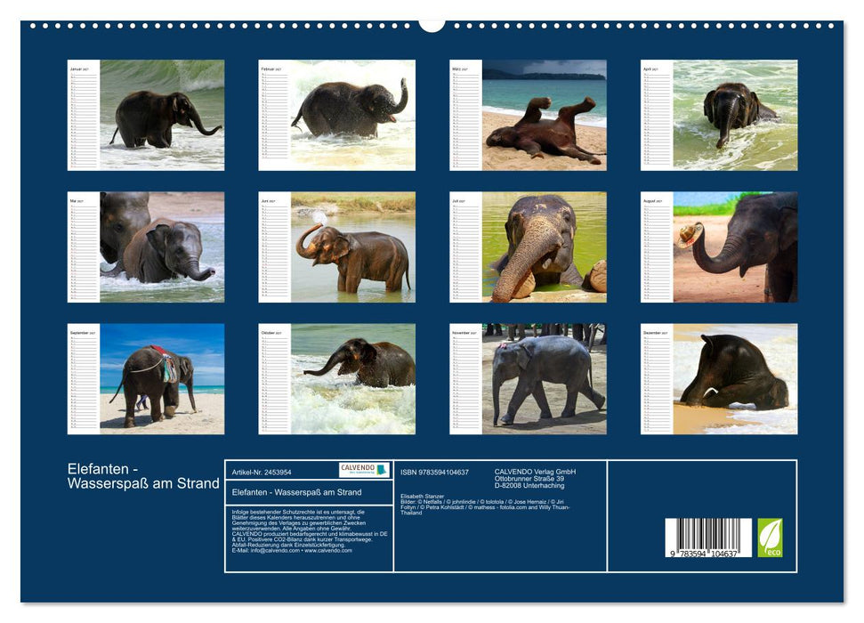Elefanten - Wasserspaß am Strand (CALVENDO Premium Wandkalender 2027)