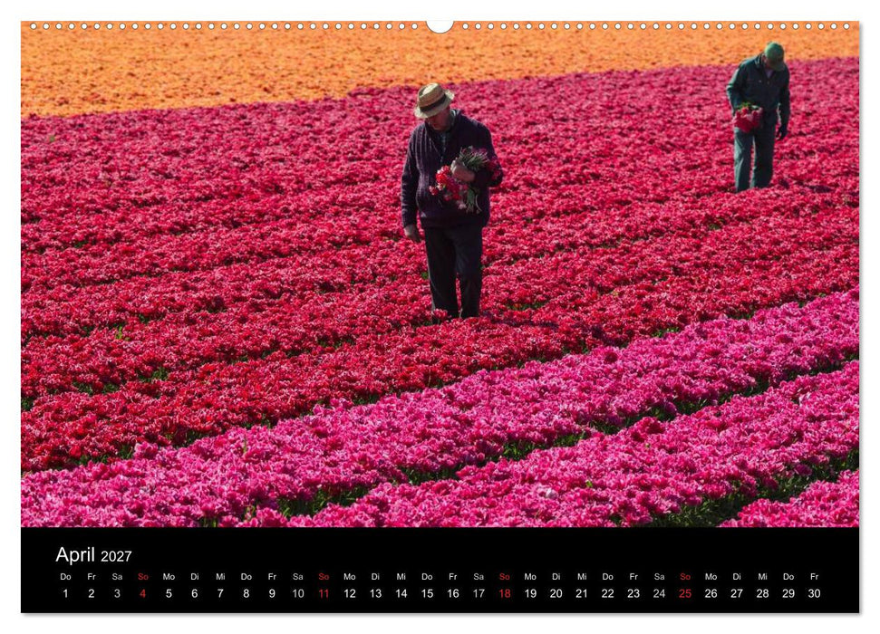 Ein fotografischer Streifzug durch Holland (CALVENDO Wandkalender 2027)