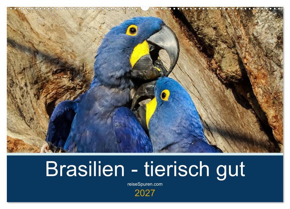 Brasilien tierisch gut 2027 (CALVENDO Wandkalender 2027)