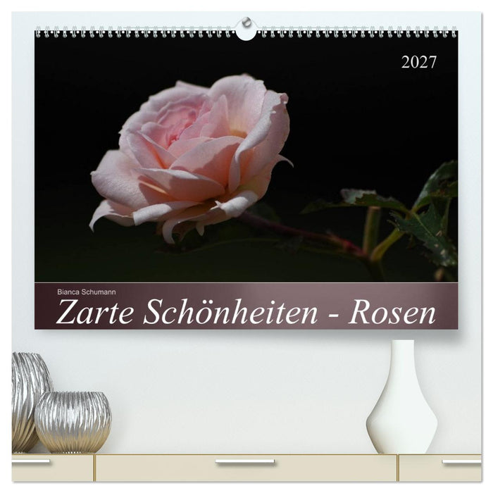 Zarte Schönheiten - Rosen (CALVENDO Premium Wandkalender 2027)