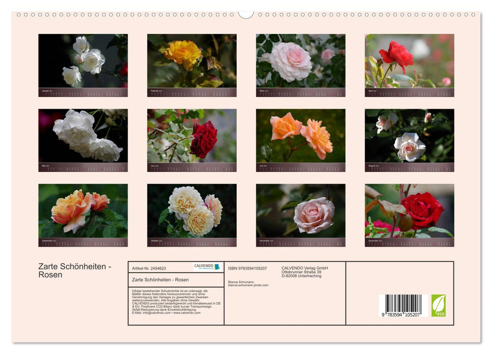 Zarte Schönheiten - Rosen (CALVENDO Premium Wandkalender 2027)