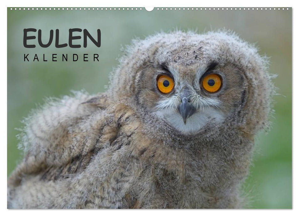 Eulen-Kalender (CALVENDO Wandkalender 2027)