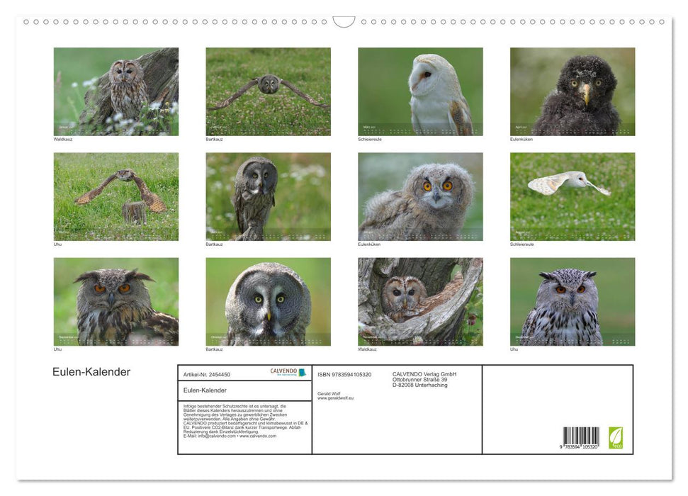 Eulen-Kalender (CALVENDO Wandkalender 2027)